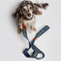 Etna Woven Cotton Dog Leash - Navy