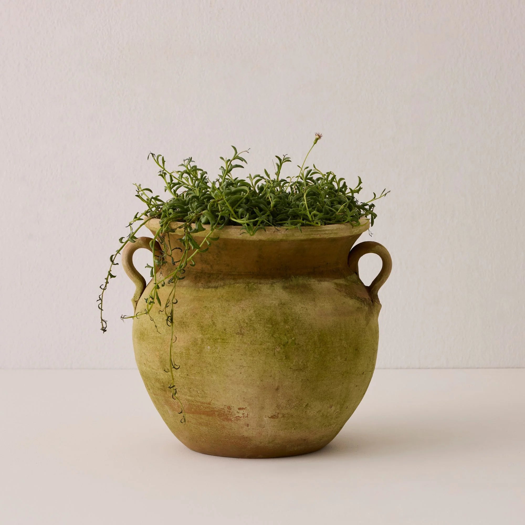 Aged Allende Urn Planter - Large