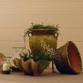 Aged Azalea Planter - X-Large