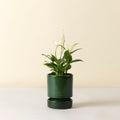 Hoff Ø14 Planter