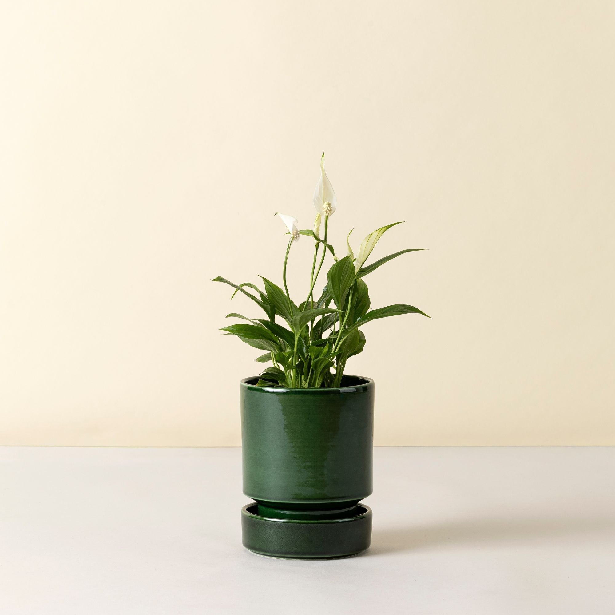 Hoff Ø14 Planter