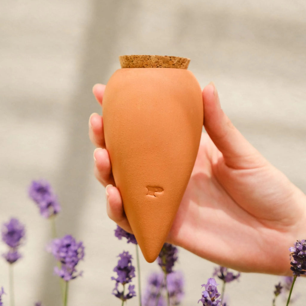 Mini Ollas Self-Watering Pots - Set of 3