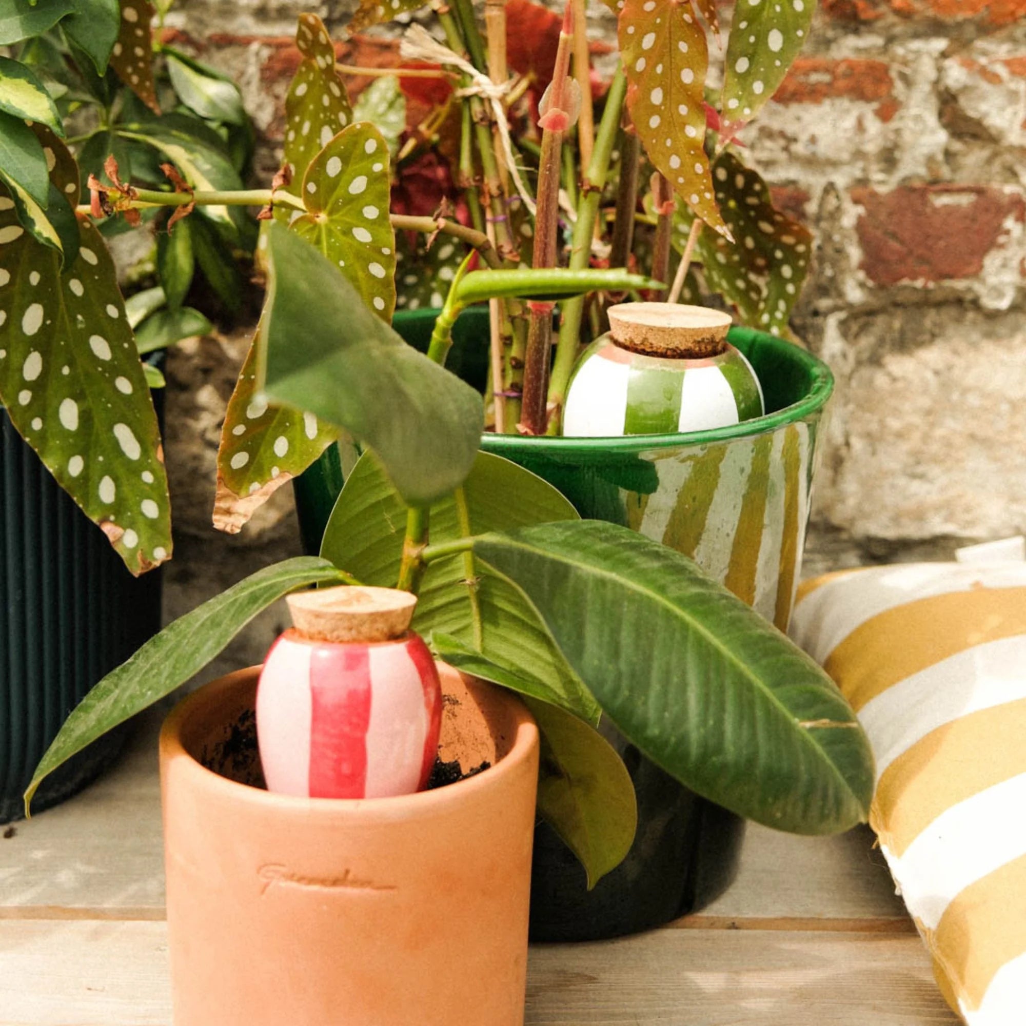 Mini Ollas Self-Watering Pots - Set of 3