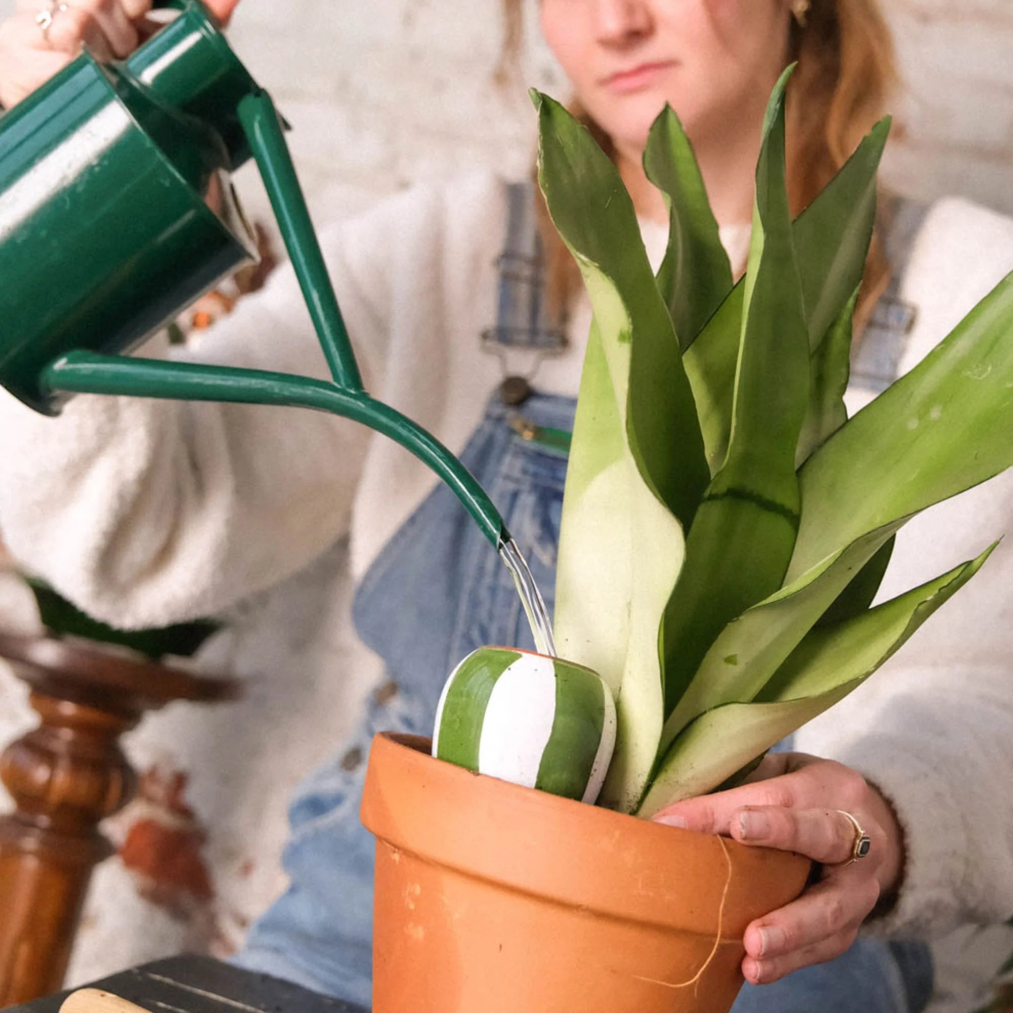 Mini Ollas Self-Watering Pots - Set of 3